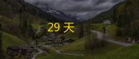 29 天